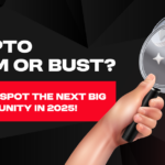 Crypto Boom or Bust? How to Spot the Next Big Opportunity in 2025